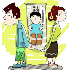 巴彦淖尔血缘检测大概收费，巴彦淖尔个人亲子鉴定办理流程
