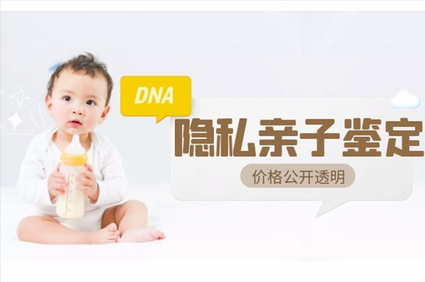 甘肃省个人亲子鉴定办理流程,甘肃省个人亲子鉴定如何办理