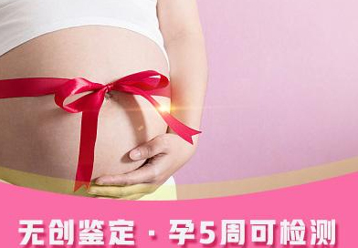 新余怀孕要如何办理DNA亲子鉴定,新余怀孕办理亲子鉴定办理流程