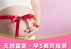 三明怀孕如何做血缘检测，三明怀孕办理亲子鉴定基本的流程