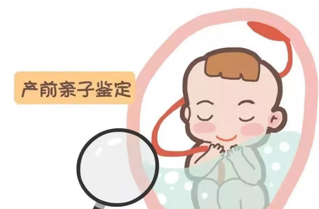 南平怀孕了需要怎么办理DNA鉴定,南平孕期做亲子鉴定如何办理