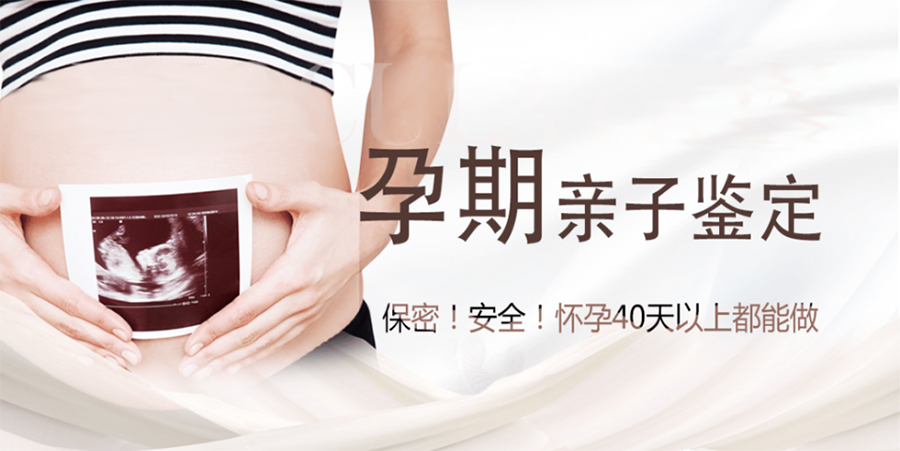 贵州省怀孕了如何做亲子鉴定,贵州省孕期办理亲子鉴定如何办理